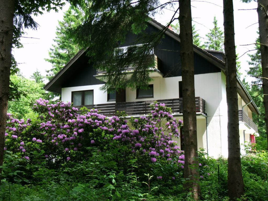 Hotel Haus Hirschmann à Goslar Extérieur photo